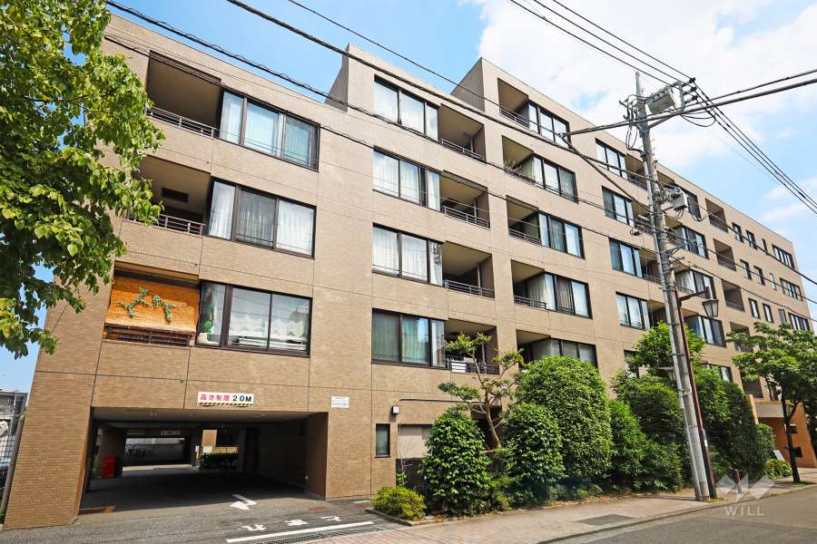 テラス杉並蚕糸の森の外観（西側から）