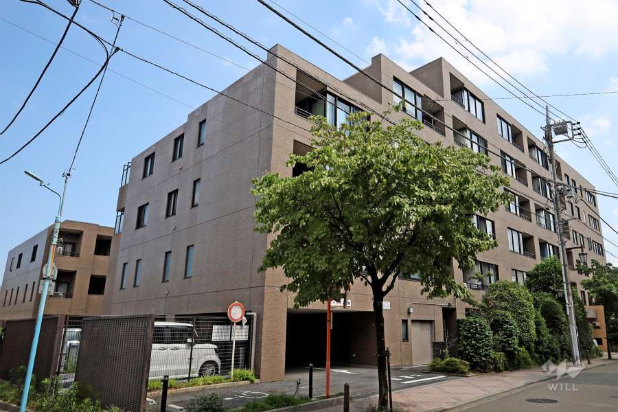 テラス杉並蚕糸の森の外観（北西側から）