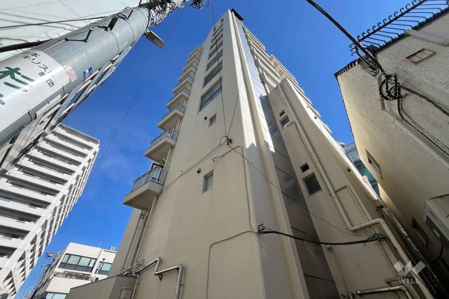 ウエストハイマンション高円寺の外観（南西側から）