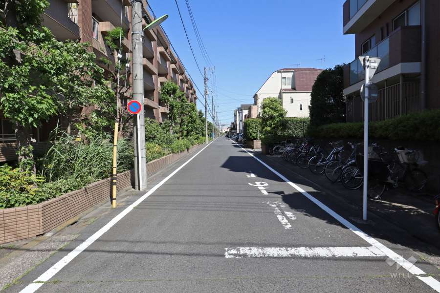 敷地南側の前面道路（西側から）