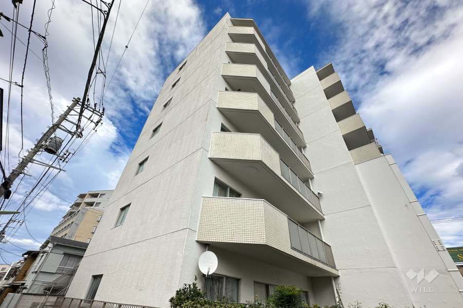 羽根木マンションの外観（南西側から）