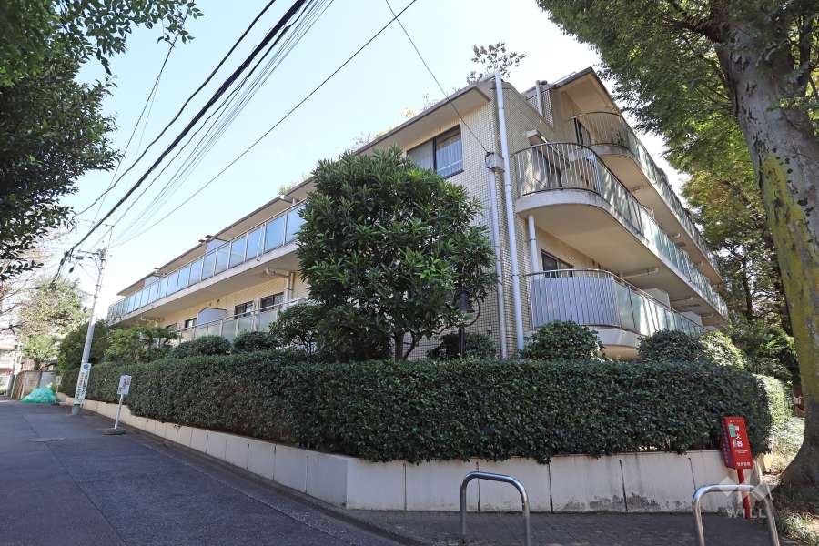 東松原ハイムの外観（西側から）