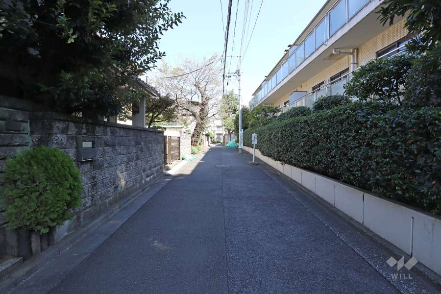 敷地北側の前面道路（西側から）