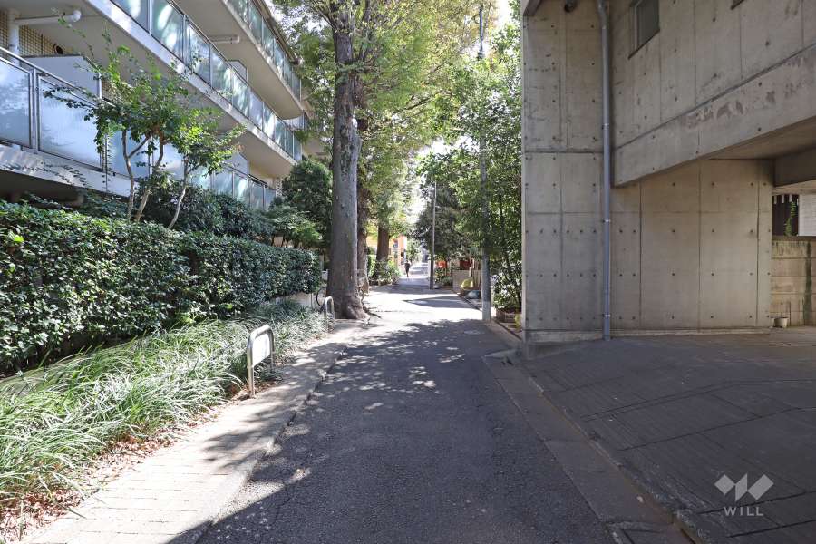 敷地西側の前面道路（北側から）