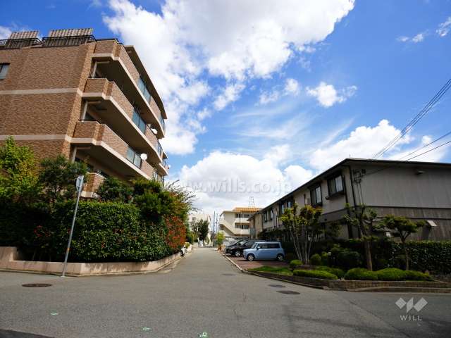 敷地南側の前面道路