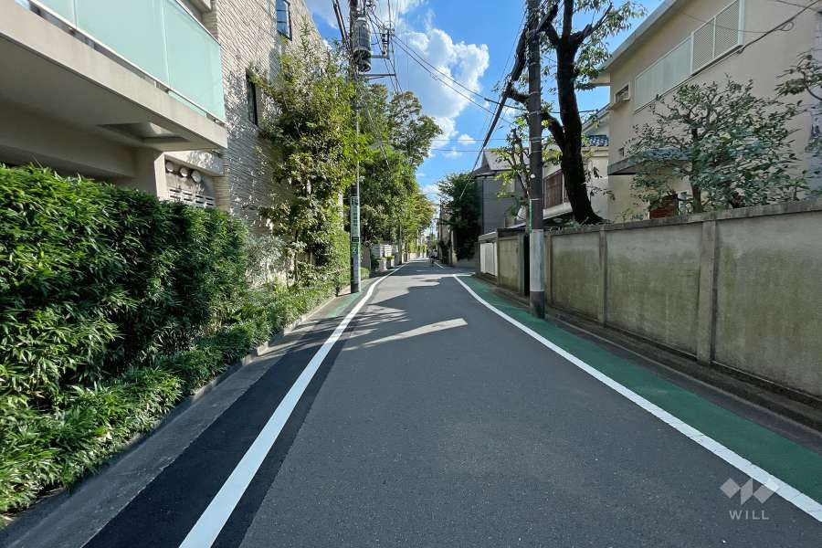 敷地西側の前面道路（北側から）