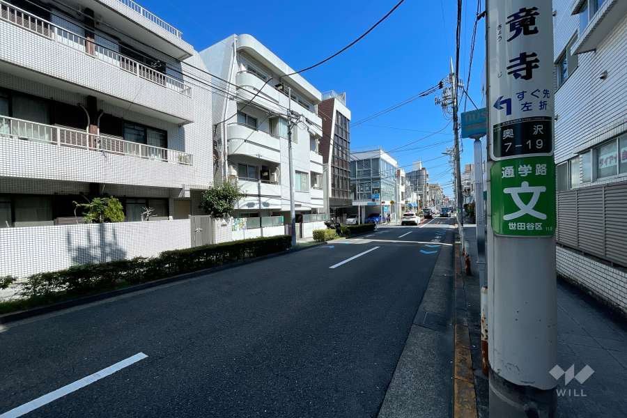 敷地北側の前面道路（西側から）
