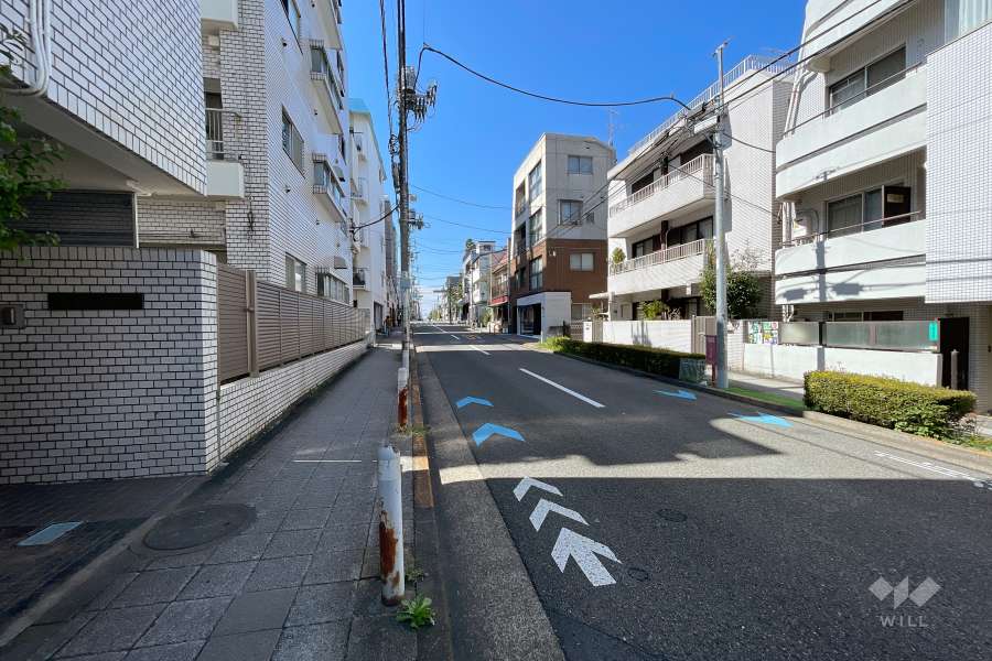 敷地北東側の前面道路（南東側から）