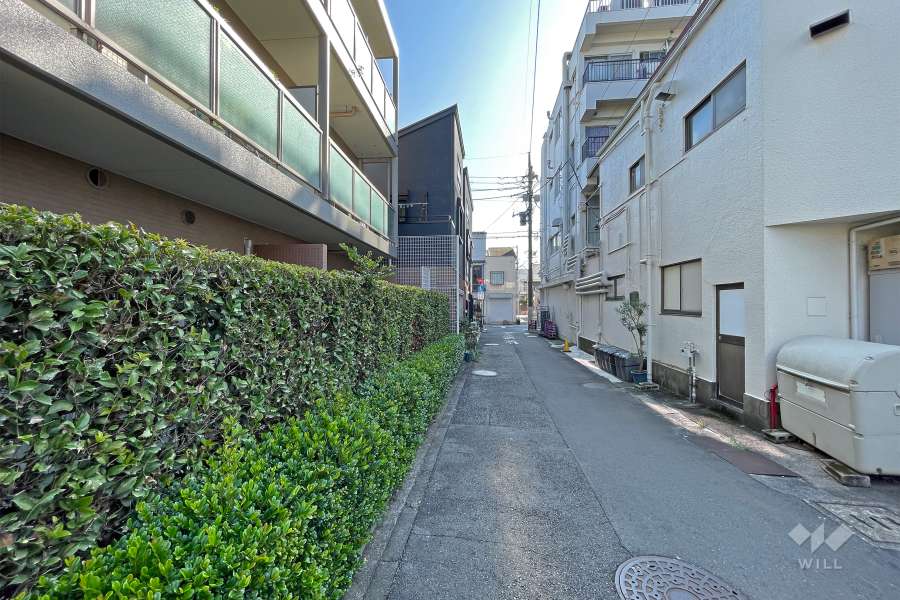 敷地の南側道路の西側から