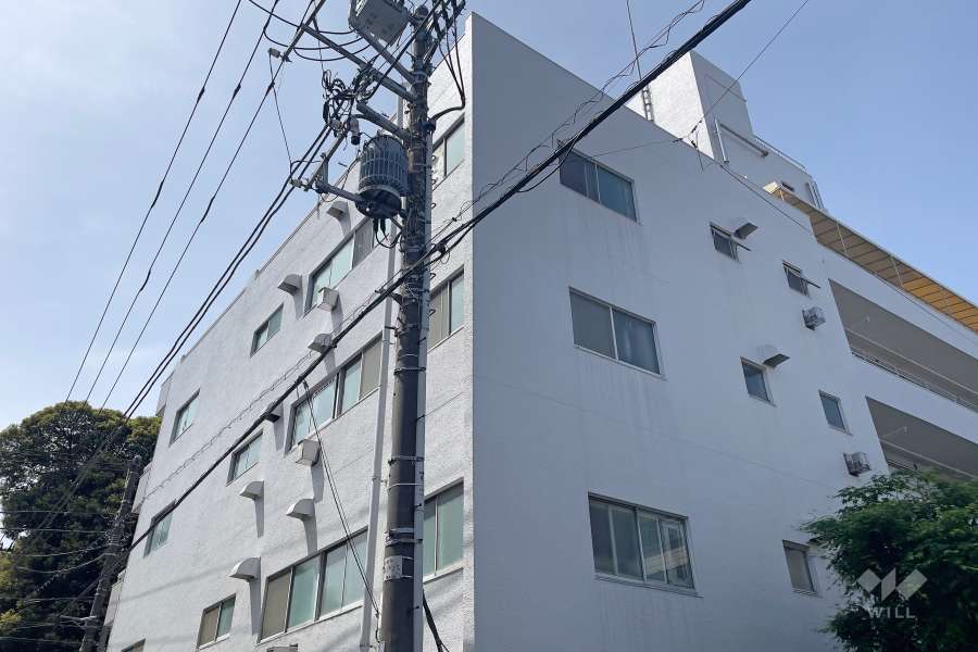 マコトパレスの外観（北東側から）