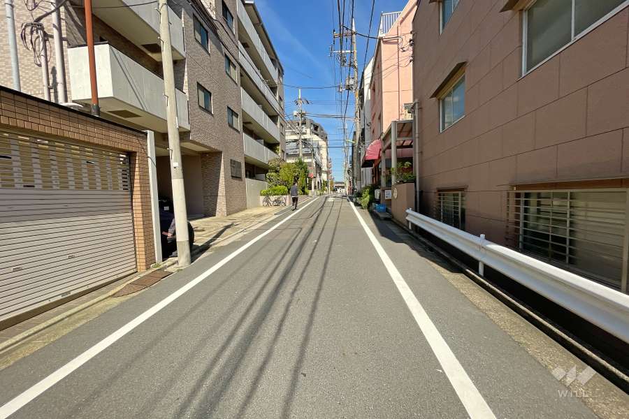 敷地西側の前面道路（南側から）