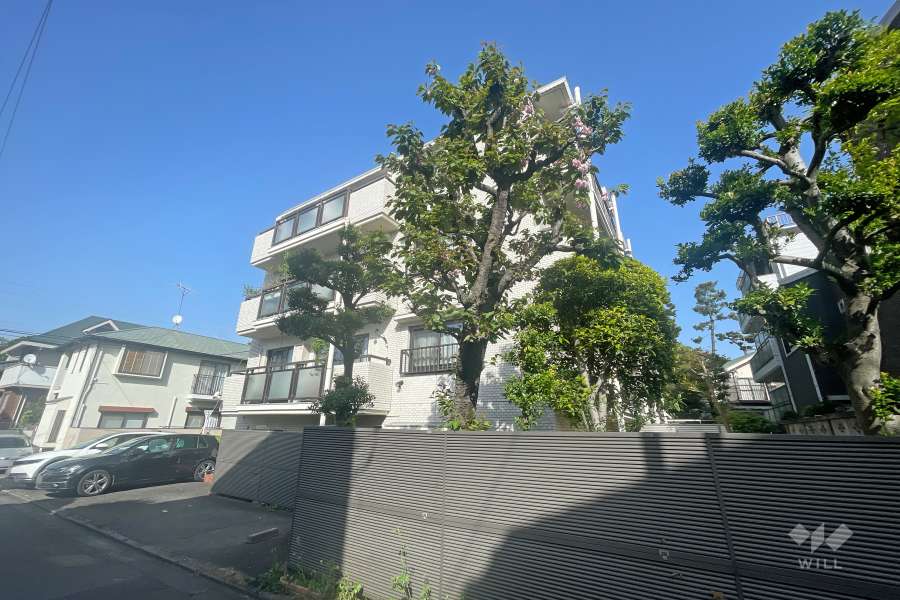 ドム自由が丘の外観（南西側から）