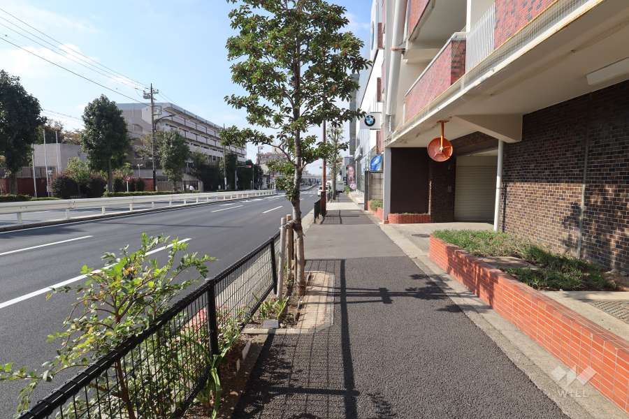 敷地南側の前面道路（東側から）