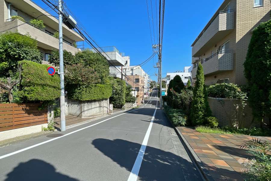 敷地南側の前面道路（西側から）