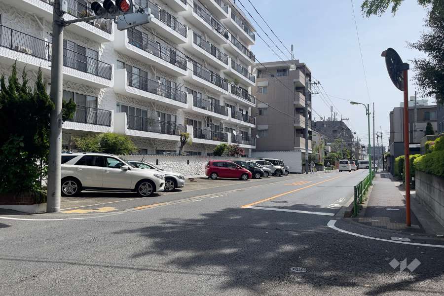 敷地南側の前面道路（西側から）
