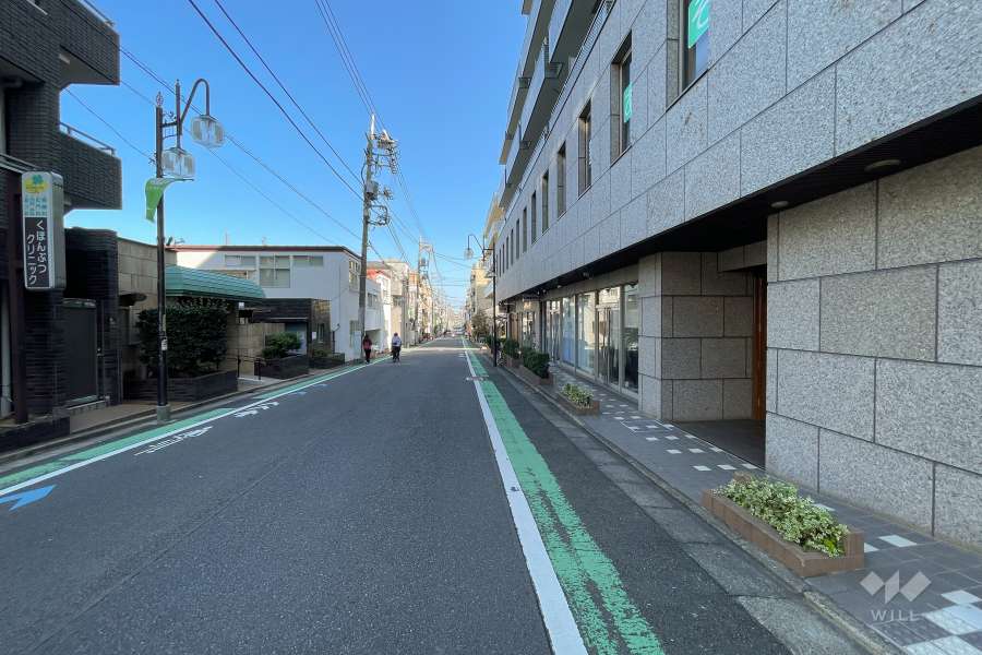 敷地の西側前面道路（南側から）
