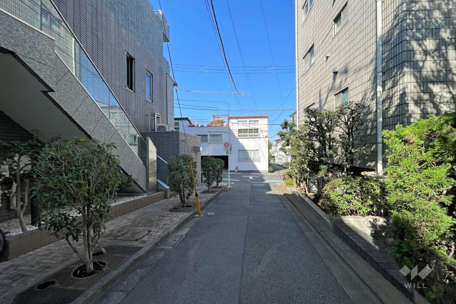 敷地の北側前面道路（東側から）