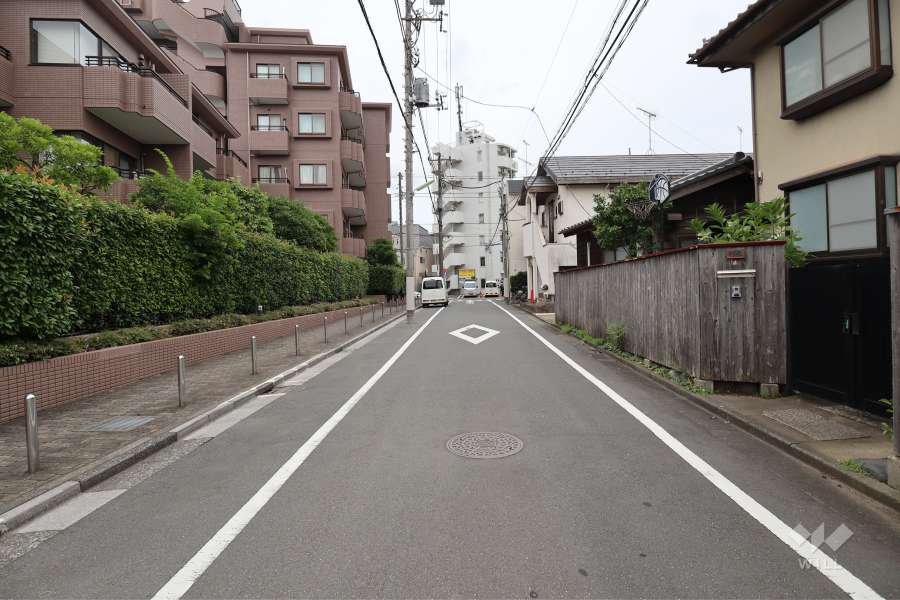 敷地西側の前面道路（北側から）