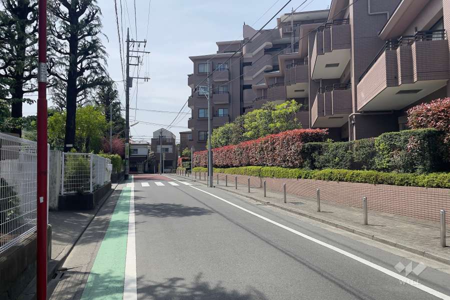 敷地西側の前面道路（南側から）