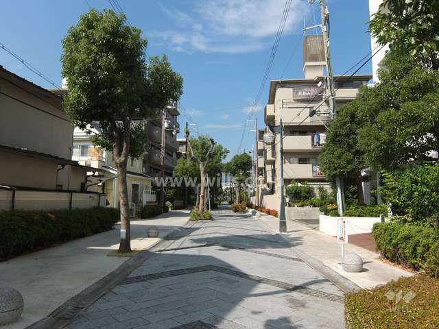 敷地西側の前面道路