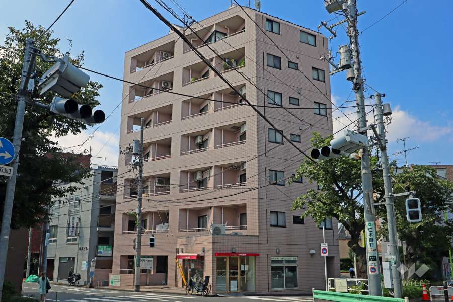 コリーヌ緑が丘の外観(北側から)