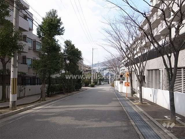 敷地北側の前面道路。一部緑道になっています。
