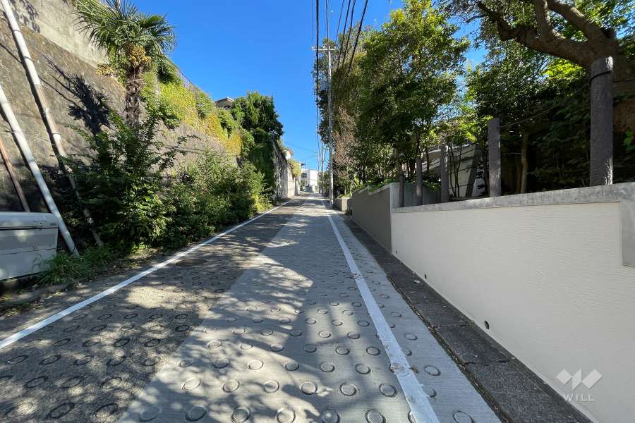 敷地の北東側前面道路（北西側から）