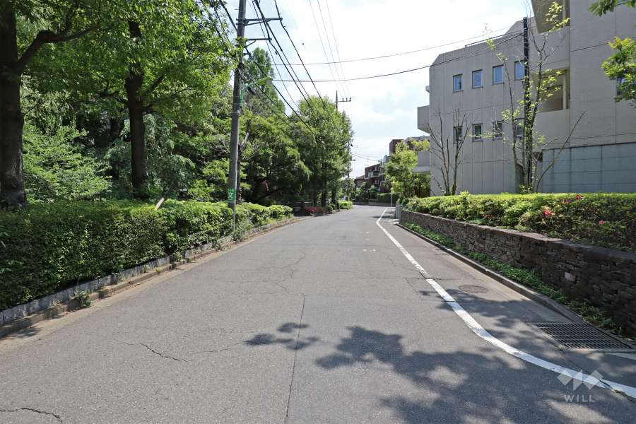 敷地北東側の前面道路（北西側から）。道を挟んで向かいは『松本記念音楽迎賓館』の庭園です。