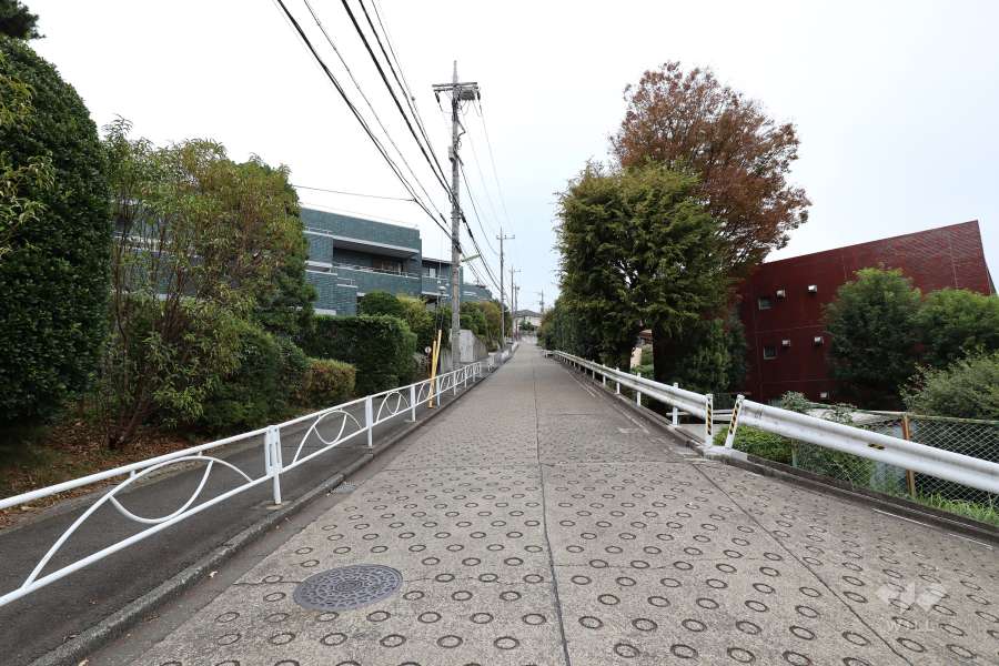 敷地南側の前面道路
