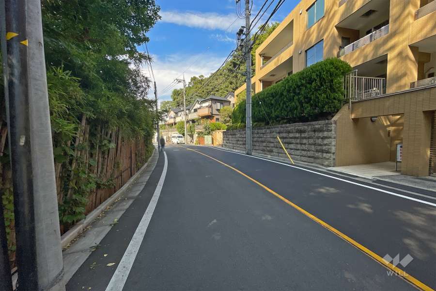 敷地南西側の前面道路（南東側から）