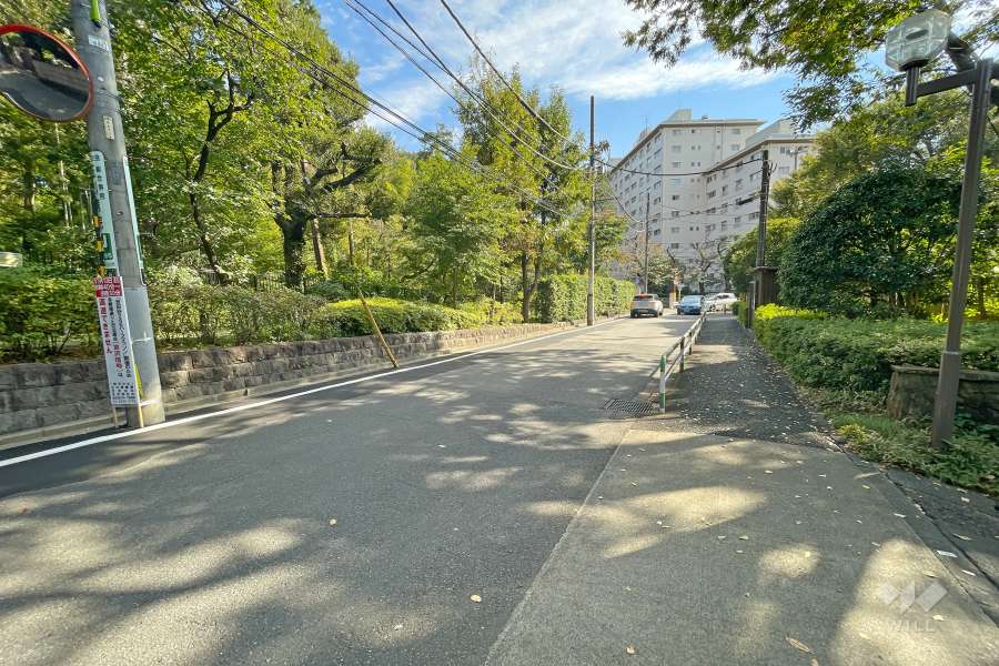 敷地東側の前面道路（北側から）
