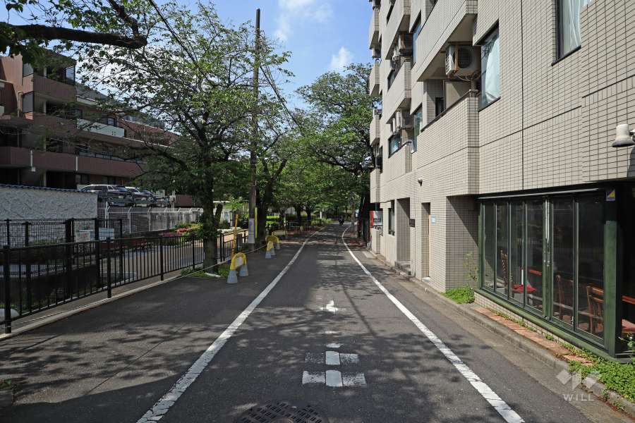 敷地南東側の前面道路（北東側から）