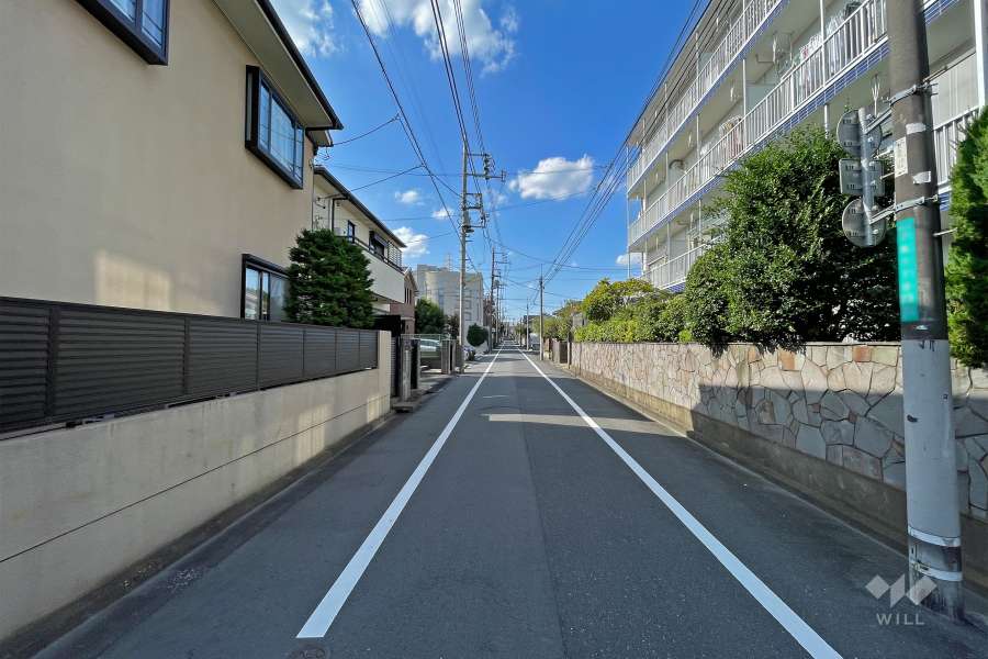 敷地南西側の前面道路（南東側から）