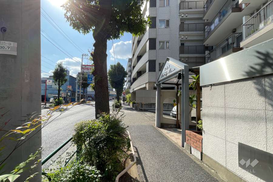 敷地南側の前面道路　　