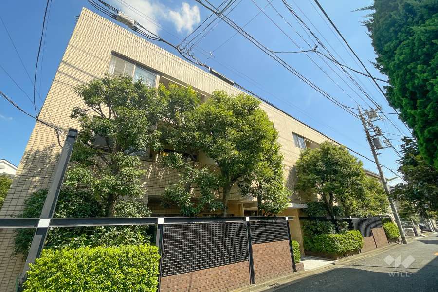 コスモ世田谷下馬の外観（南西側から）