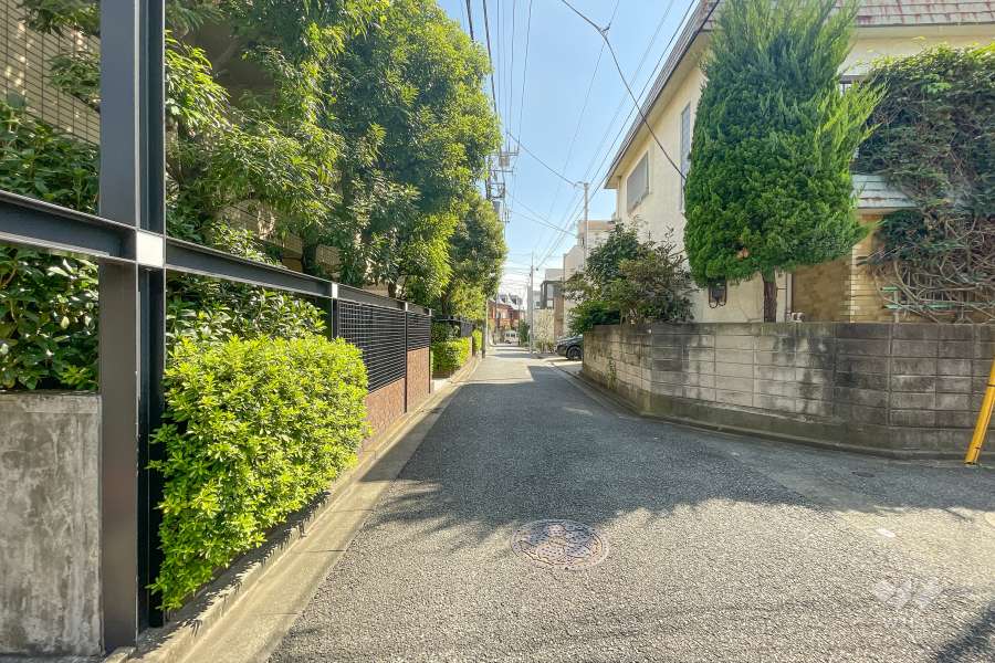 敷地南側の前面道路（西側から）