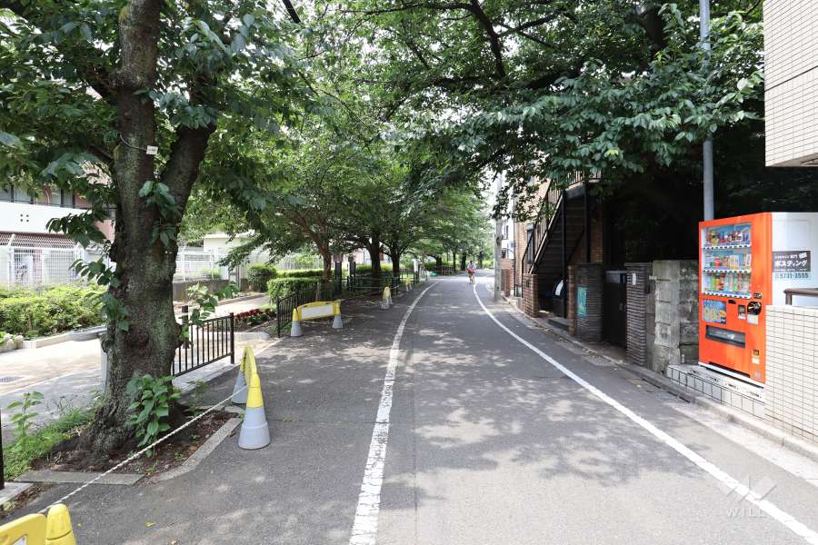敷地北西側の前面道路（北東側から）