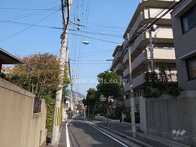 敷地西側の前面道路。周辺は緑の多い閑静な住宅地です。