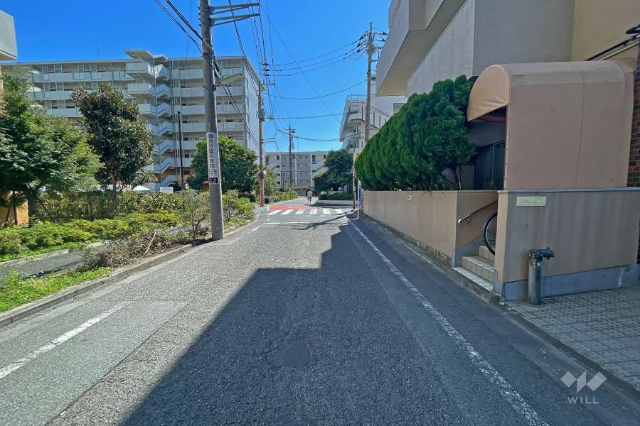 敷地東側の前面道路（北側から）