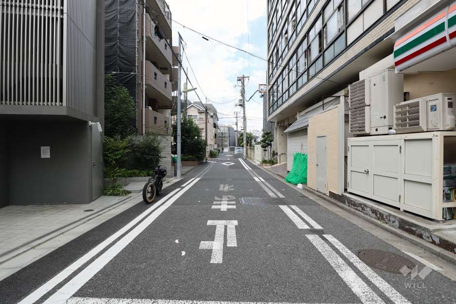 敷地の西側前面道路（南側から）