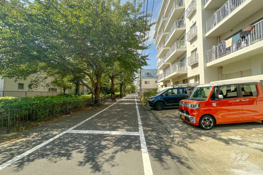 敷地南側の前面道路（東側から）