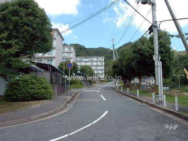 敷地東側の道路。