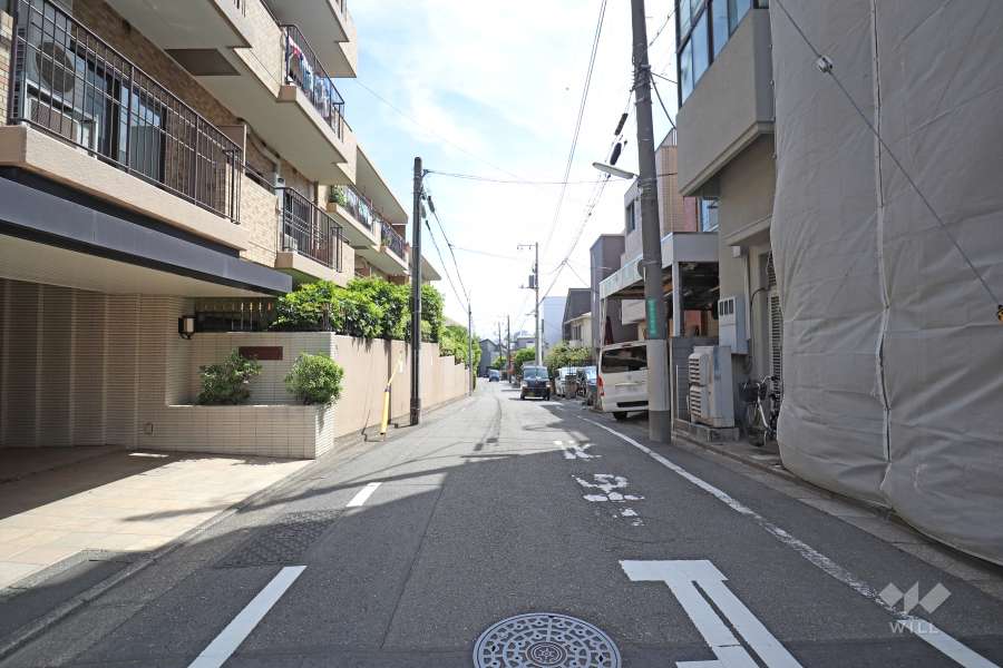 敷地南側の前面道路（西側から）
