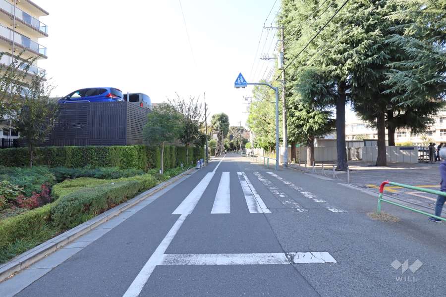 敷地北側の前面道路