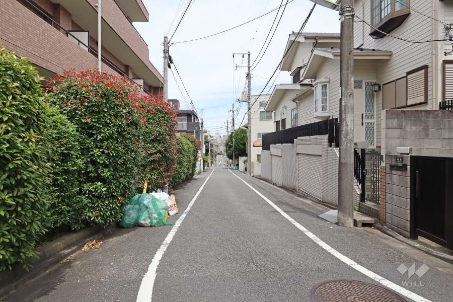 敷地北東側の前面道路（南東側から）