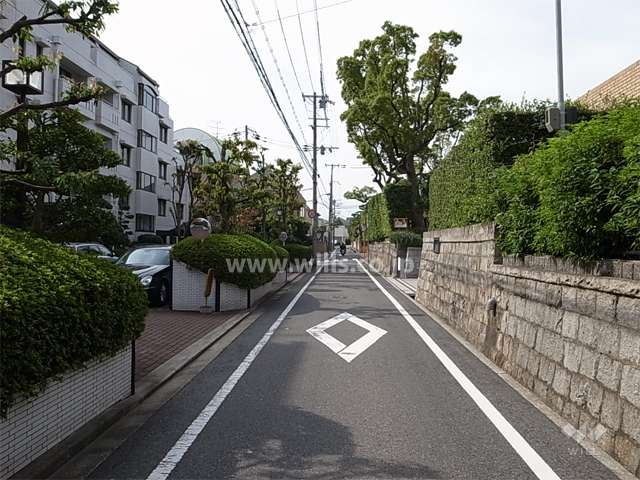 周辺は緑豊かな住宅地。（敷地北側の道路）