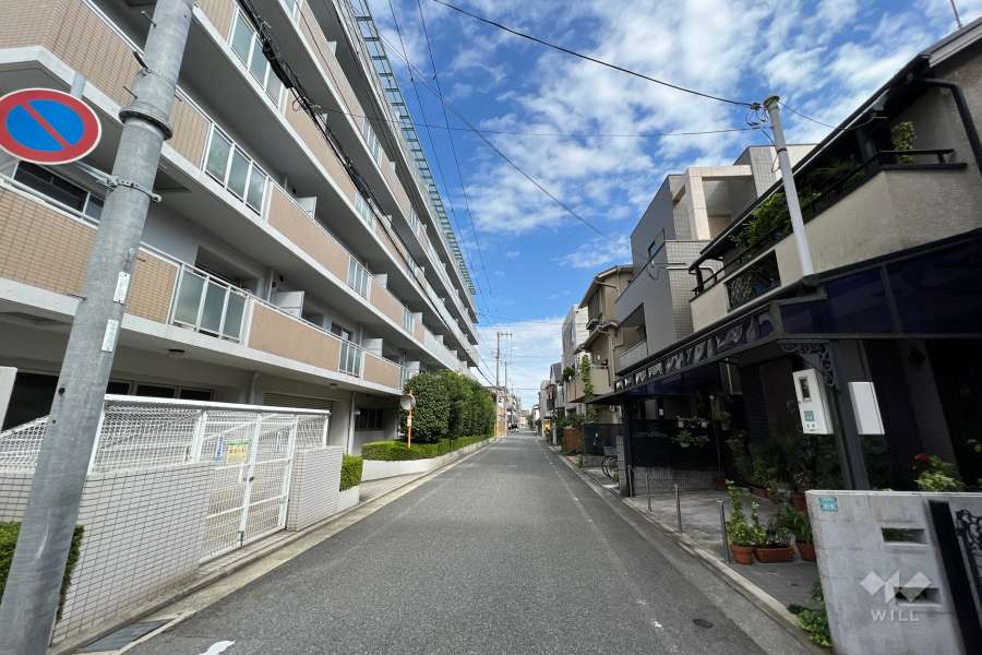 敷地南側前の面道路（西側から）