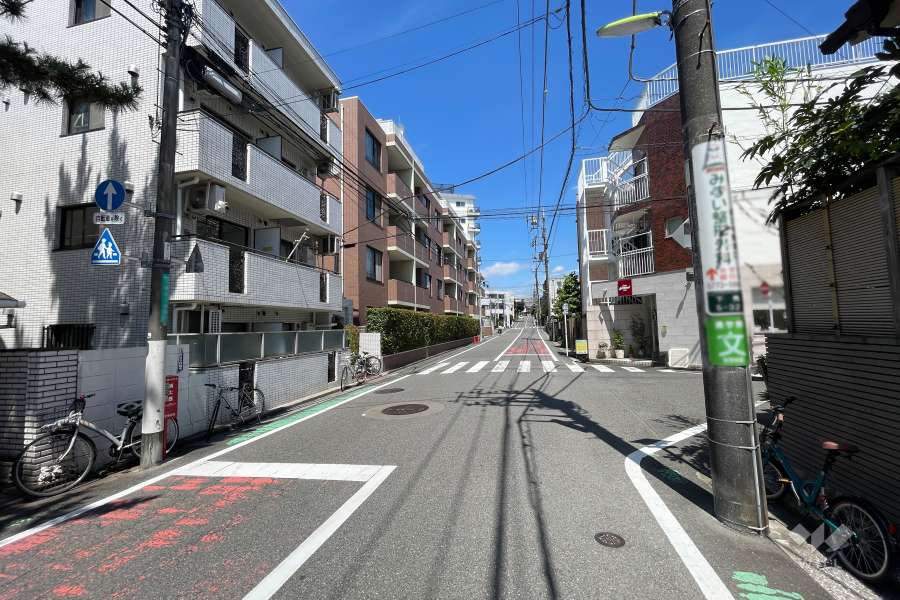 敷地南側の前面道路（西側から）