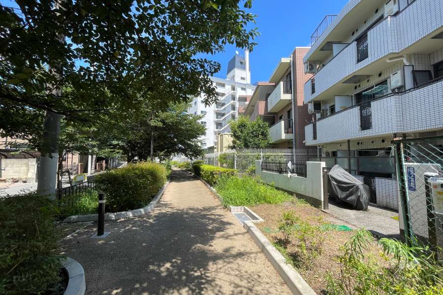 敷地北側の前面道路（西側から）