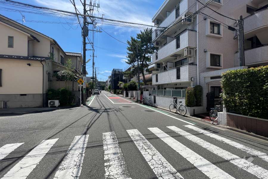 敷地南側の前面道路（東側から）